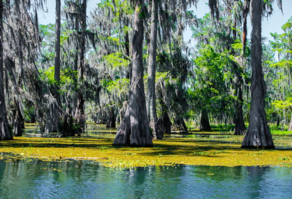 Opposition Claims Energy Transfer Sunk Boats In Louisiana - Energy 