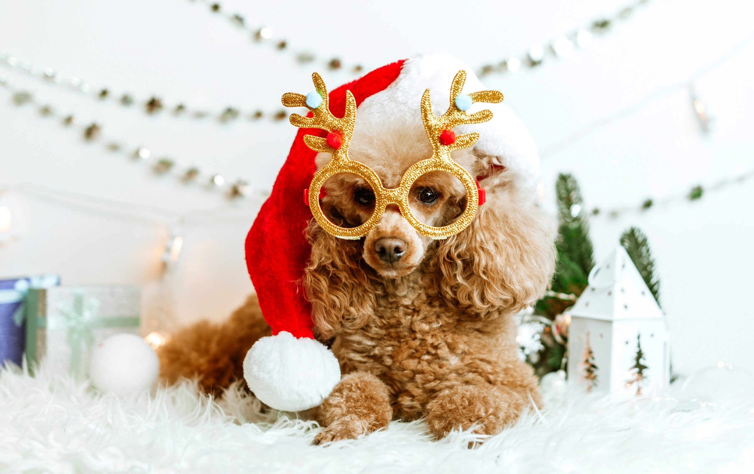 Holiday Cheer Fueled by Petroleum